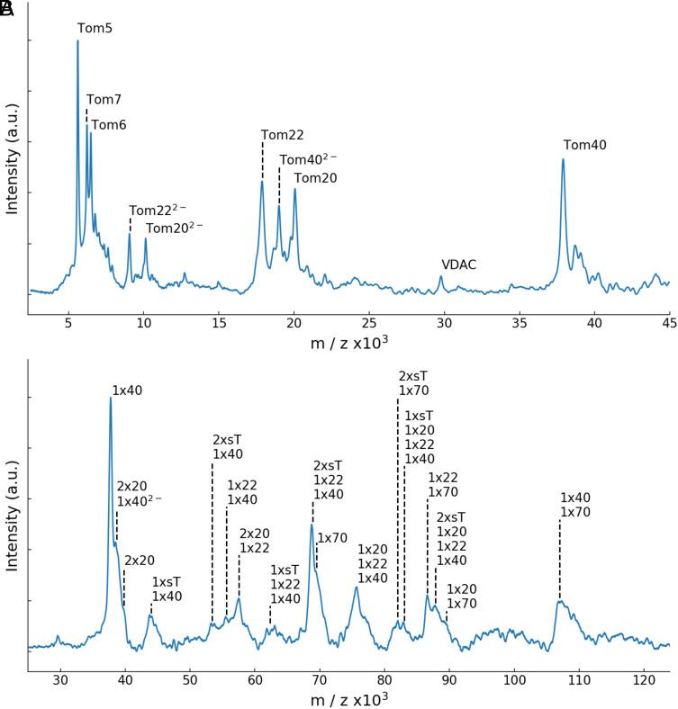 https://cdn.ncbi.nlm.nih.gov/pmc/blobs/4921/10450662/8a6ddde2cf2e/pnas.2301447120fig01.jpg