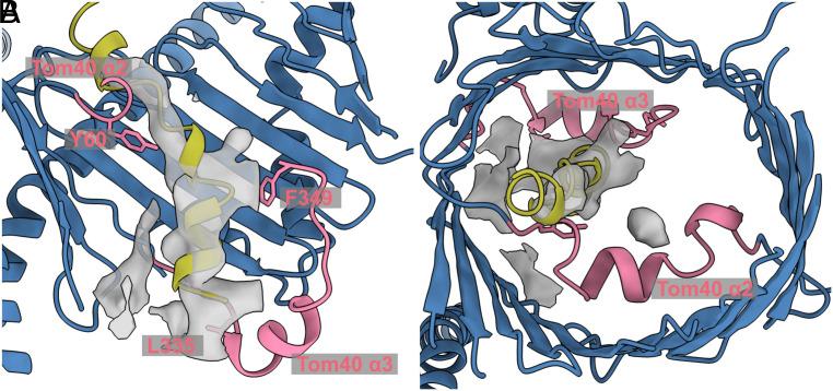 https://cdn.ncbi.nlm.nih.gov/pmc/blobs/4921/10450662/b226db2caac9/pnas.2301447120fig04.jpg