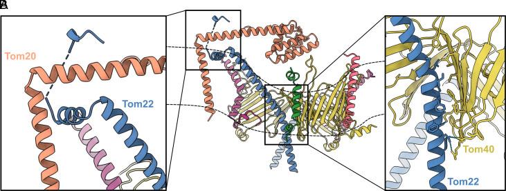 https://cdn.ncbi.nlm.nih.gov/pmc/blobs/4921/10450662/f666a765af21/pnas.2301447120fig06.jpg