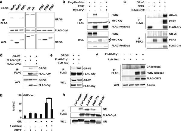https://cdn.ncbi.nlm.nih.gov/pmc/blobs/4922/3245818/8d41e3f7ec83/nihms-336733-f0001.jpg