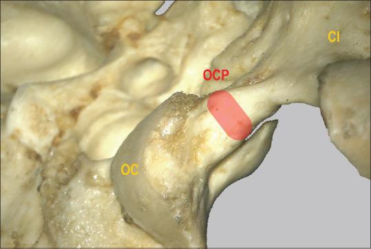 https://cdn.ncbi.nlm.nih.gov/pmc/blobs/4923/10336899/8fc6673e5959/JCVJS-14-175-g002.jpg