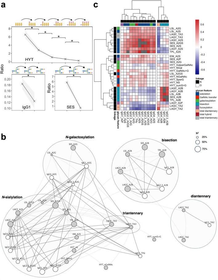 https://cdn.ncbi.nlm.nih.gov/pmc/blobs/4924/11312925/86b464850371/13073_2024_1369_Fig3_HTML.jpg