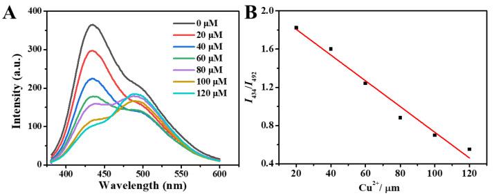 https://cdn.ncbi.nlm.nih.gov/pmc/blobs/4925/9571308/80d36065b30b/molecules-27-06517-g006.jpg