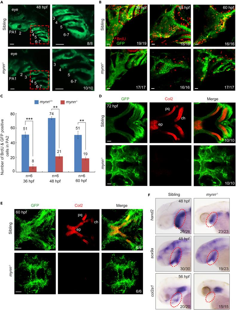 https://cdn.ncbi.nlm.nih.gov/pmc/blobs/4926/9194458/fe239ab87afd/gr3.jpg