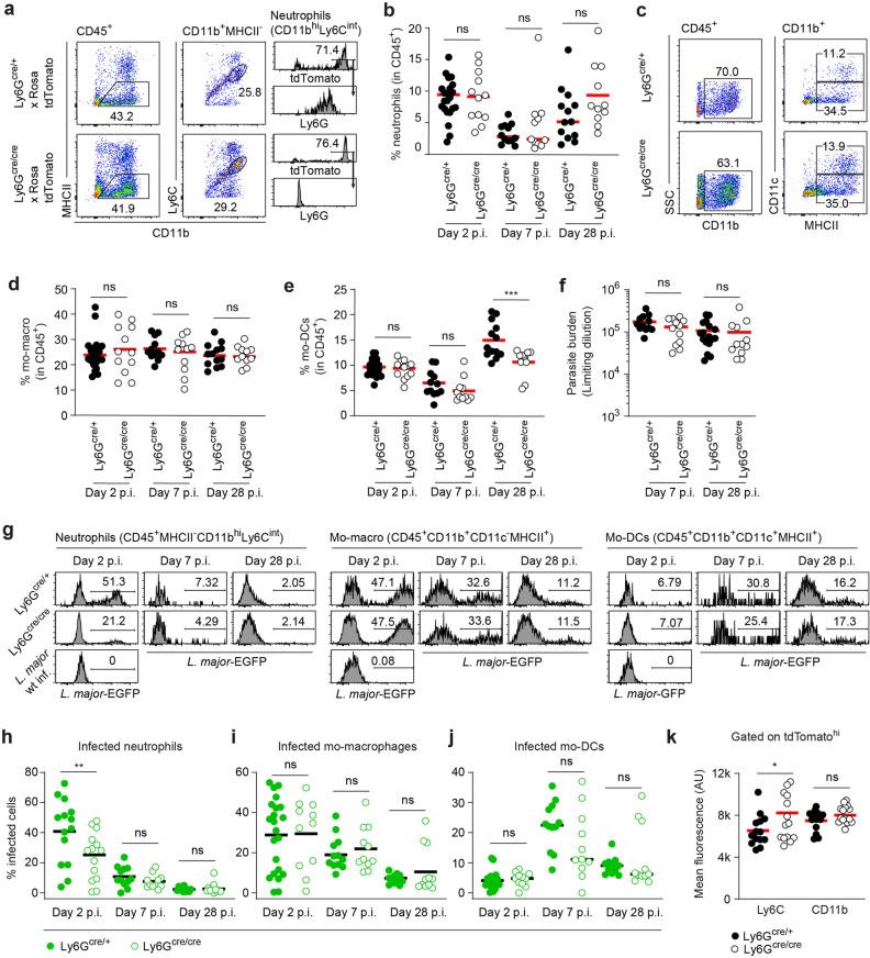 https://cdn.ncbi.nlm.nih.gov/pmc/blobs/4927/8302578/43806abff5fe/41598_2021_94425_Fig1_HTML.jpg