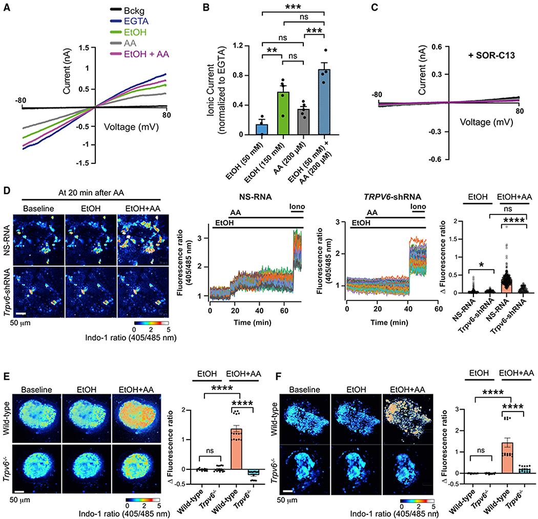 https://cdn.ncbi.nlm.nih.gov/pmc/blobs/4927/9250449/3c8b460c8a3e/nihms-1816585-f0001.jpg