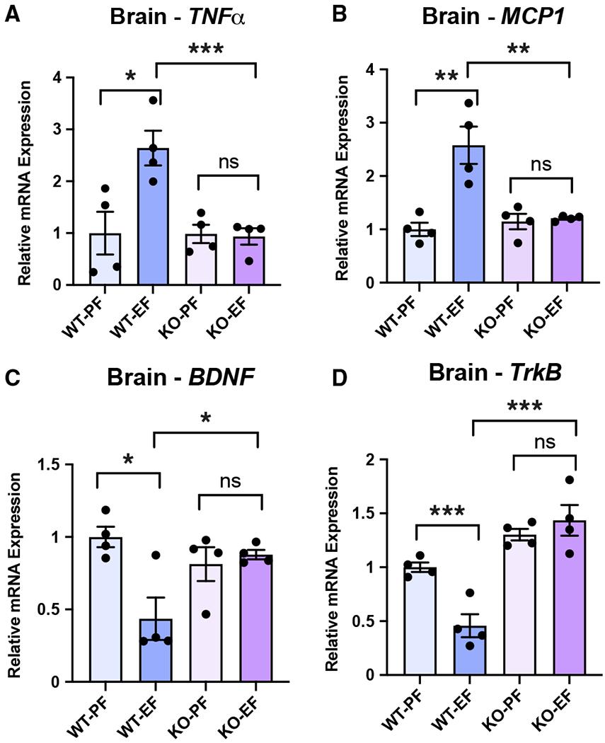 https://cdn.ncbi.nlm.nih.gov/pmc/blobs/4927/9250449/51fa4ce93b8b/nihms-1816585-f0006.jpg