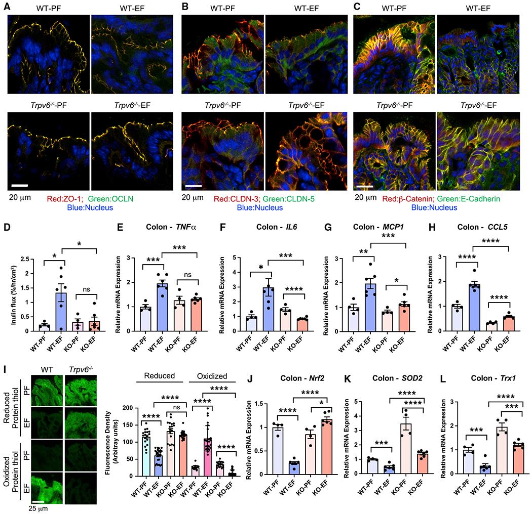 https://cdn.ncbi.nlm.nih.gov/pmc/blobs/4927/9250449/d39a6781461f/nihms-1816585-f0004.jpg