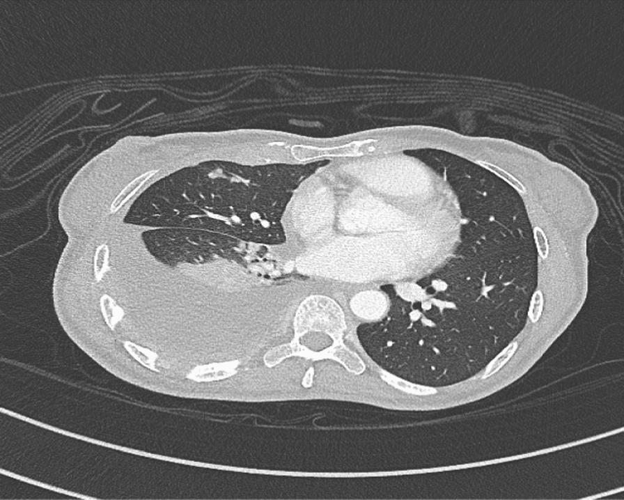 https://cdn.ncbi.nlm.nih.gov/pmc/blobs/4928/11921653/4e651e4cc5ca/13256_2025_5170_Fig2_HTML.jpg