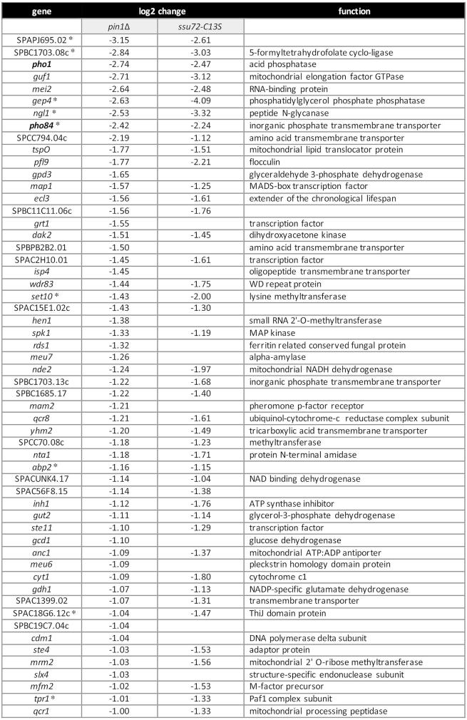 https://cdn.ncbi.nlm.nih.gov/pmc/blobs/4928/7229847/b54728fc679a/gkaa212fig10.jpg