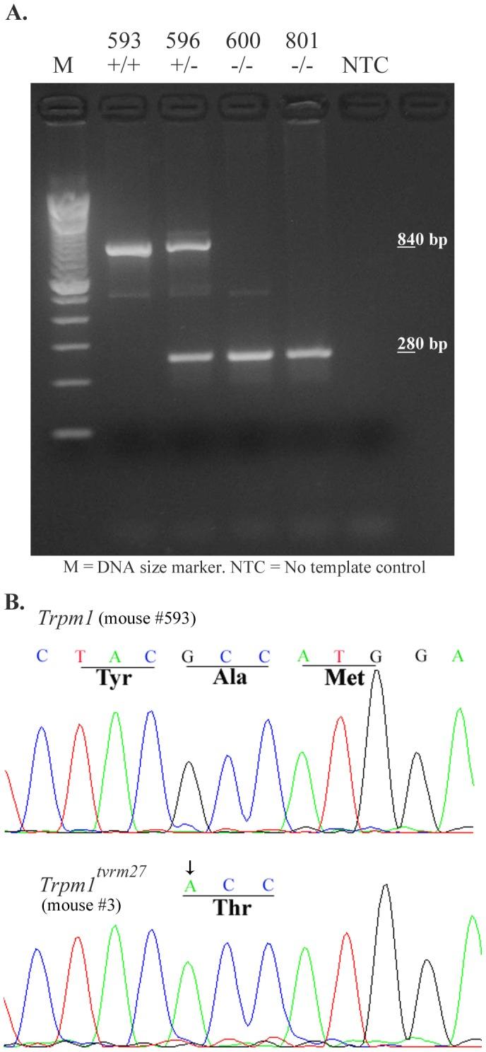 https://cdn.ncbi.nlm.nih.gov/pmc/blobs/4929/3795643/8fd605f7bdd4/pone.0077213.g002.jpg
