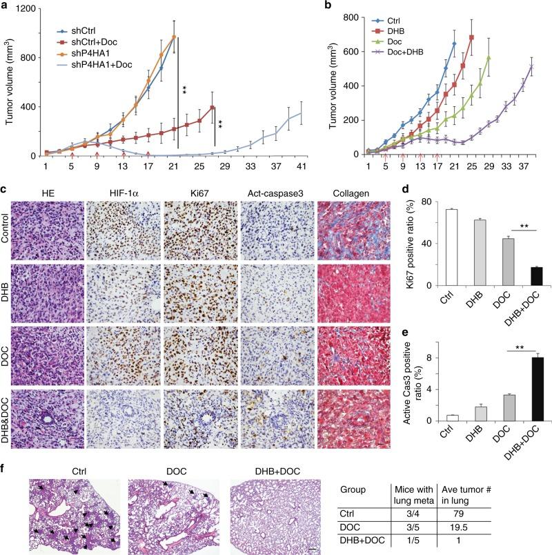 https://cdn.ncbi.nlm.nih.gov/pmc/blobs/492a/6203834/1e560f4a2e74/41467_2018_6893_Fig7_HTML.jpg
