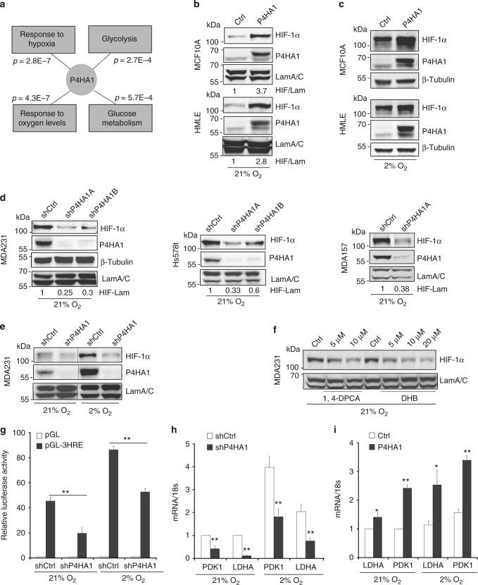 https://cdn.ncbi.nlm.nih.gov/pmc/blobs/492a/6203834/50e539d43724/41467_2018_6893_Fig2_HTML.jpg