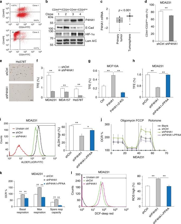 https://cdn.ncbi.nlm.nih.gov/pmc/blobs/492a/6203834/7d2033e1d192/41467_2018_6893_Fig5_HTML.jpg