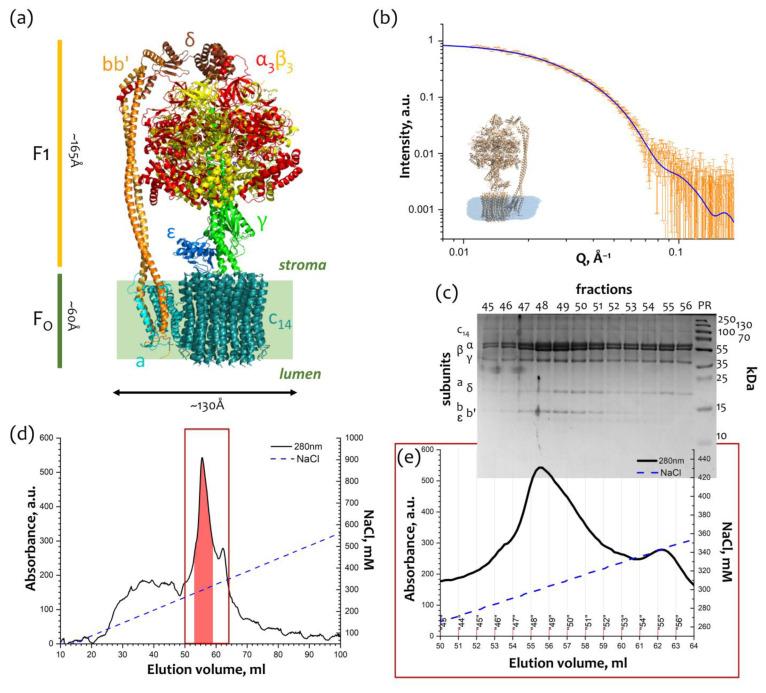 https://cdn.ncbi.nlm.nih.gov/pmc/blobs/492b/10341776/097ad589f403/ijms-24-10720-g001.jpg