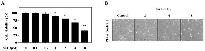 https://cdn.ncbi.nlm.nih.gov/pmc/blobs/492c/5403467/ed40ac70fe5d/IJMM-39-05-1255-g00.jpg