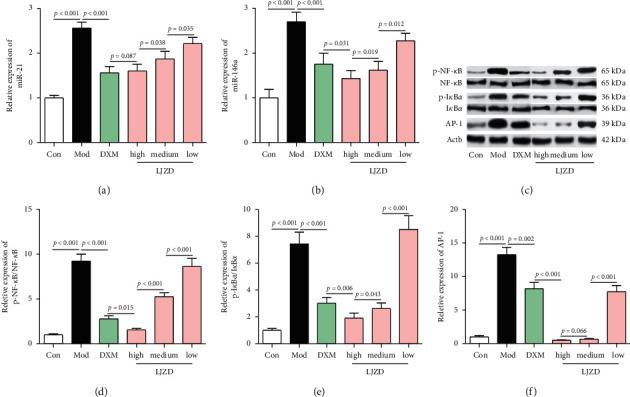 https://cdn.ncbi.nlm.nih.gov/pmc/blobs/492d/8494547/e5d0be80dfee/CRJ2021-6406295.006.jpg