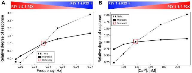https://cdn.ncbi.nlm.nih.gov/pmc/blobs/492d/9868579/491b84b4a528/fphys-13-1037417-g006.jpg