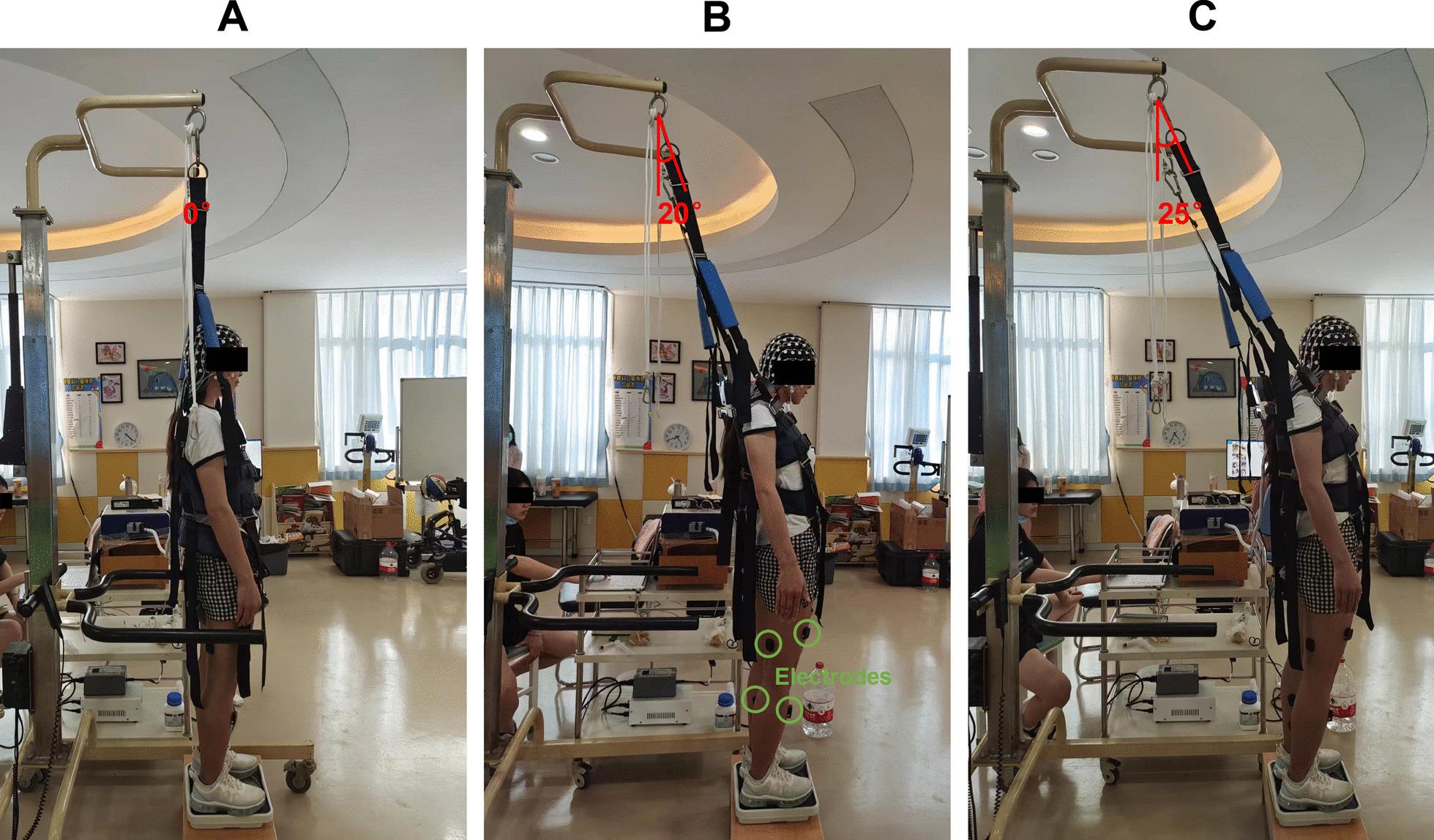 https://cdn.ncbi.nlm.nih.gov/pmc/blobs/492e/10734060/5aefe6d464e2/12984_2023_1297_Fig1_HTML.jpg