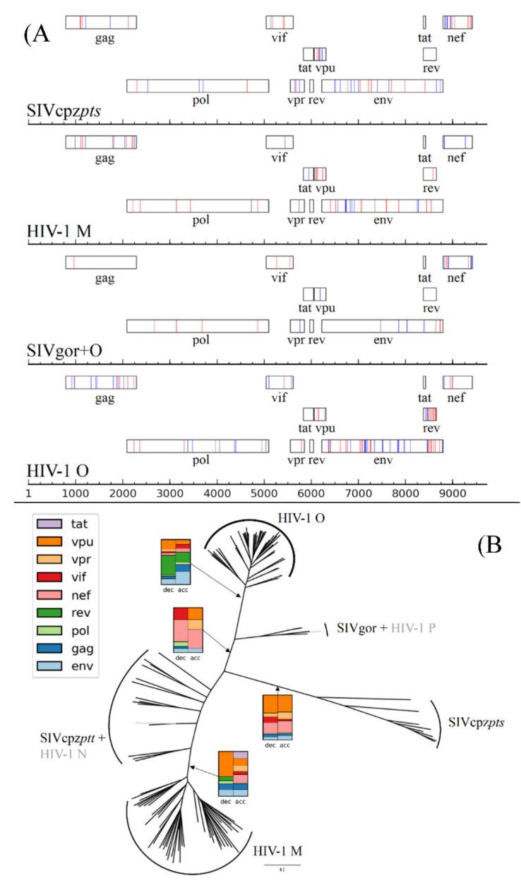 https://cdn.ncbi.nlm.nih.gov/pmc/blobs/492e/7696578/9c75bc98a748/viruses-12-01312-g002.jpg