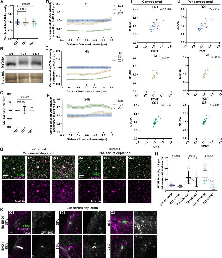https://cdn.ncbi.nlm.nih.gov/pmc/blobs/492e/9851619/0c700d1c0db2/elife-78202-fig3-figsupp1.jpg