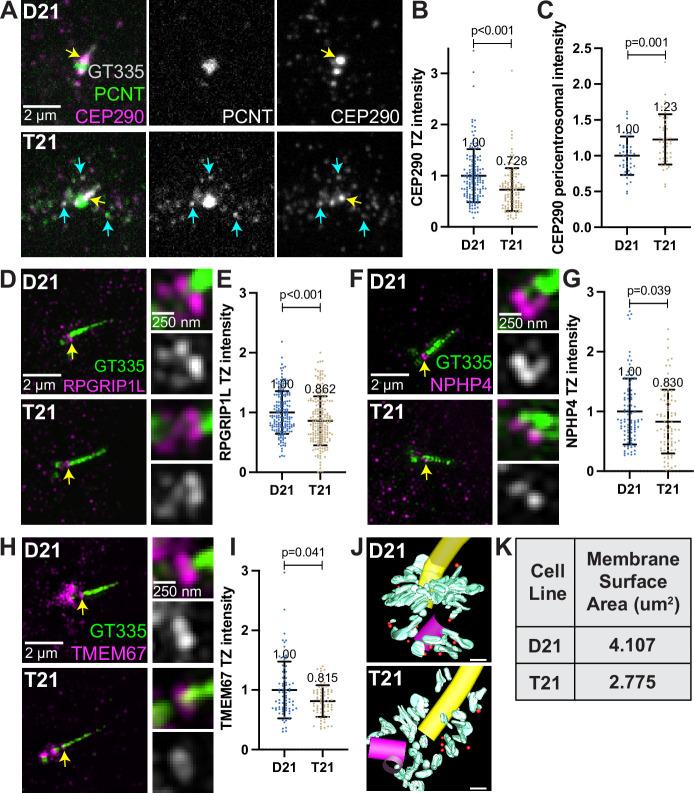 https://cdn.ncbi.nlm.nih.gov/pmc/blobs/492e/9851619/2db982f98595/elife-78202-fig5.jpg