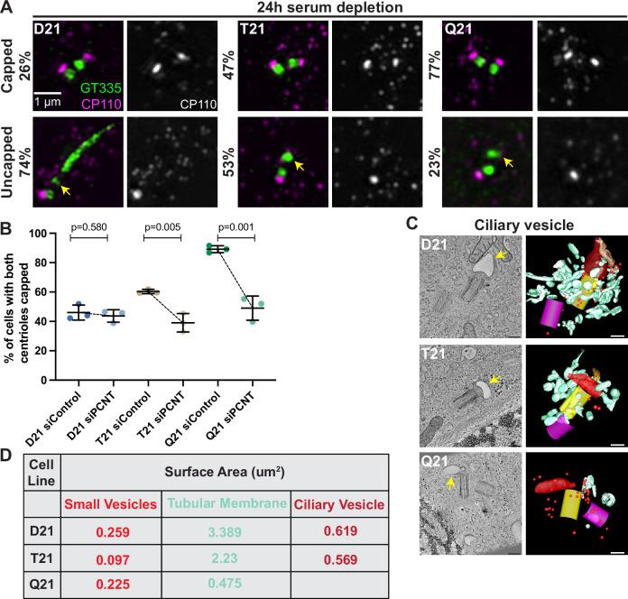 https://cdn.ncbi.nlm.nih.gov/pmc/blobs/492e/9851619/36ee6da30062/elife-78202-fig4.jpg