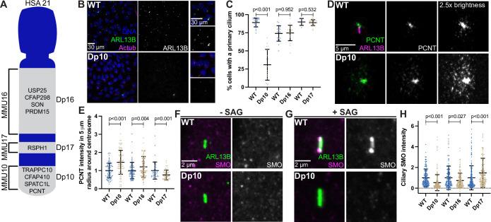 https://cdn.ncbi.nlm.nih.gov/pmc/blobs/492e/9851619/b793ad8e544a/elife-78202-fig6.jpg