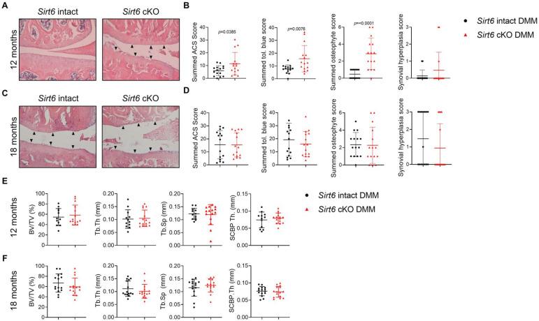 https://cdn.ncbi.nlm.nih.gov/pmc/blobs/492f/10579179/24dfab76421b/ard-2023-224385f02.jpg