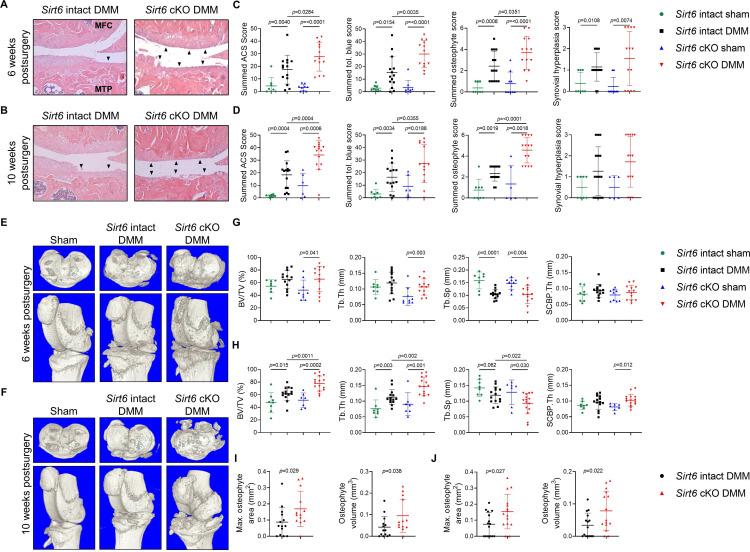 https://cdn.ncbi.nlm.nih.gov/pmc/blobs/492f/10579179/61ee40916bf4/ard-2023-224385f01.jpg