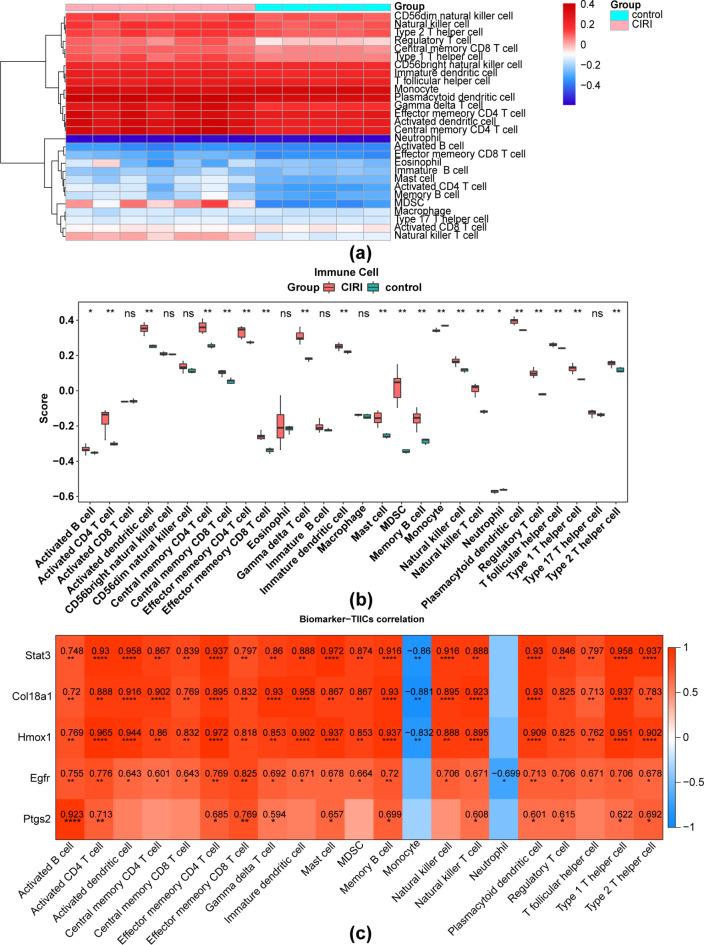 https://cdn.ncbi.nlm.nih.gov/pmc/blobs/492f/11685884/61ee3240676e/41598_2024_83783_Fig5_HTML.jpg
