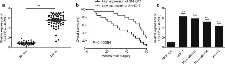 https://cdn.ncbi.nlm.nih.gov/pmc/blobs/4930/7003346/1c4526407449/12935_2020_1129_Fig1_HTML.jpg