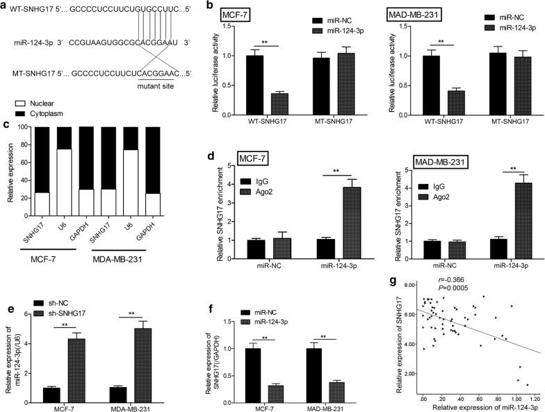 https://cdn.ncbi.nlm.nih.gov/pmc/blobs/4930/7003346/5465fbcbc843/12935_2020_1129_Fig4_HTML.jpg