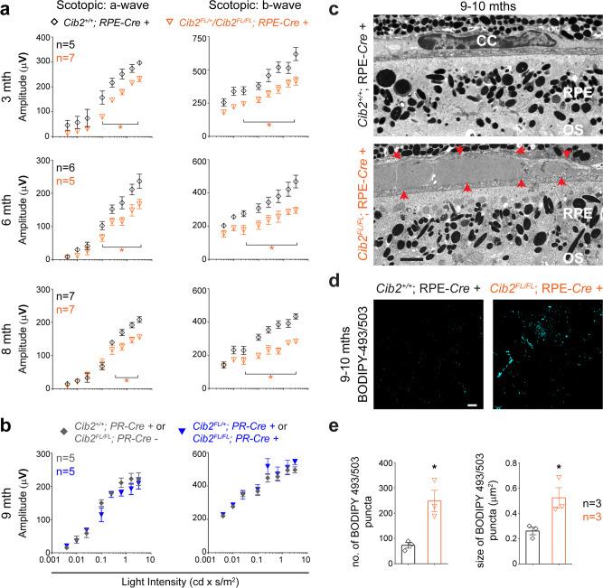 https://cdn.ncbi.nlm.nih.gov/pmc/blobs/4932/8222345/6169a63b080d/41467_2021_24056_Fig2_HTML.jpg
