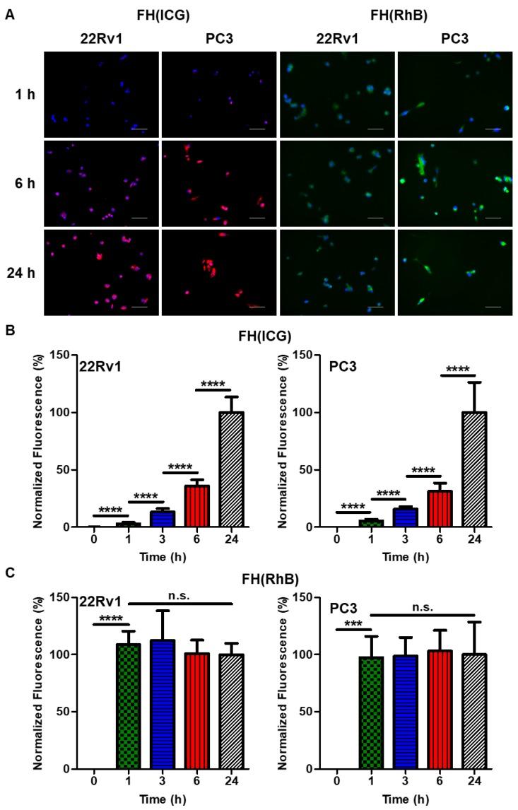 https://cdn.ncbi.nlm.nih.gov/pmc/blobs/4933/6536784/7fe022c51bec/ntnov03p0196g006.jpg