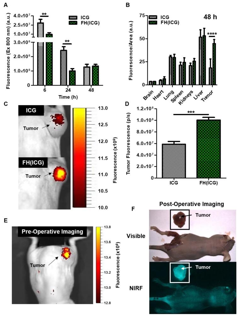https://cdn.ncbi.nlm.nih.gov/pmc/blobs/4933/6536784/89569083bebc/ntnov03p0196g007.jpg