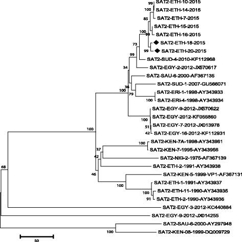 https://cdn.ncbi.nlm.nih.gov/pmc/blobs/4934/5870258/57955ac047e0/12917_2018_1429_Fig2_HTML.jpg