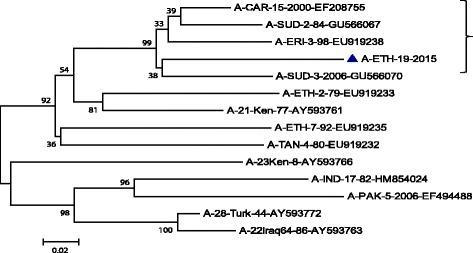 https://cdn.ncbi.nlm.nih.gov/pmc/blobs/4934/5870258/8cb8d59162a5/12917_2018_1429_Fig3_HTML.jpg