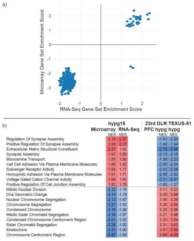 https://cdn.ncbi.nlm.nih.gov/pmc/blobs/4936/8395121/12d2103adf9f/ijms-22-08451-g009.jpg