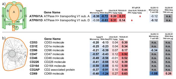 https://cdn.ncbi.nlm.nih.gov/pmc/blobs/4936/8395121/72c9e455c79d/ijms-22-08451-g010.jpg