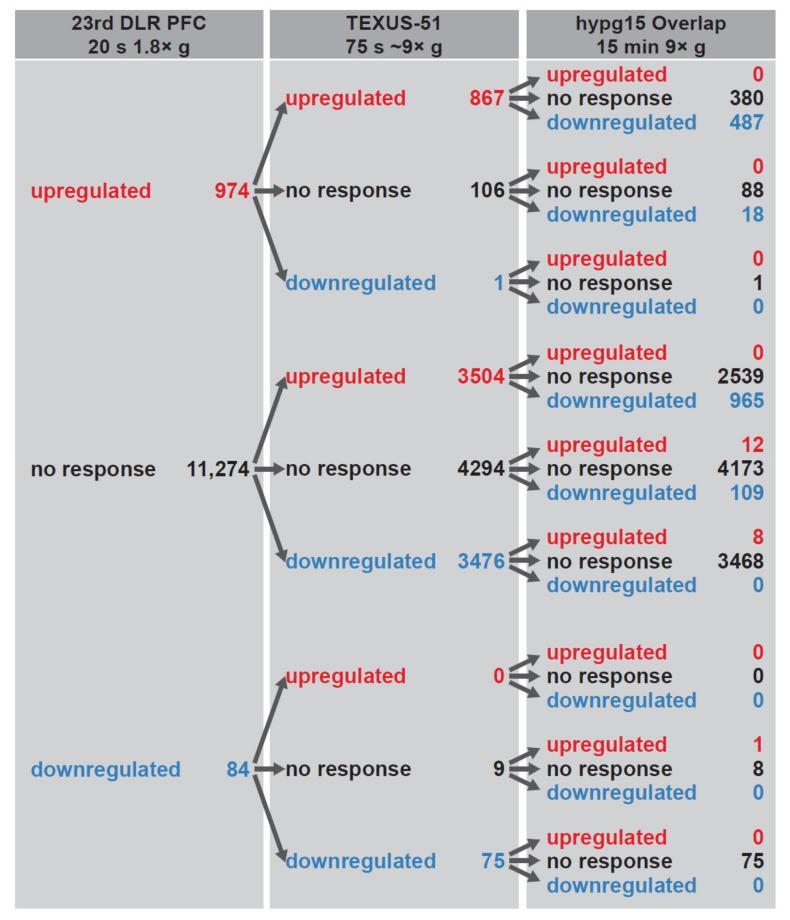 https://cdn.ncbi.nlm.nih.gov/pmc/blobs/4936/8395121/878ad2932f9c/ijms-22-08451-g007.jpg