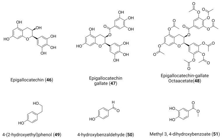 https://cdn.ncbi.nlm.nih.gov/pmc/blobs/4939/10976044/057214bbd52e/viruses-16-00366-g019.jpg