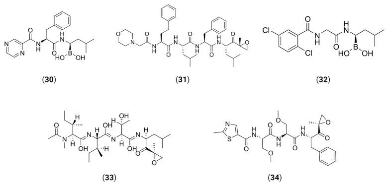 https://cdn.ncbi.nlm.nih.gov/pmc/blobs/4939/10976044/dbf3cc1d29fb/viruses-16-00366-g015.jpg