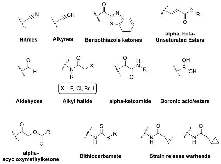 https://cdn.ncbi.nlm.nih.gov/pmc/blobs/4939/10976044/de177431757a/viruses-16-00366-g008.jpg