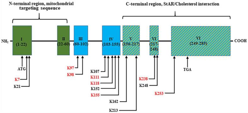 https://cdn.ncbi.nlm.nih.gov/pmc/blobs/493d/11354777/b72f304bc5a5/ijms-25-08732-g001.jpg