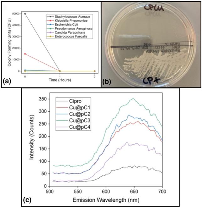 https://cdn.ncbi.nlm.nih.gov/pmc/blobs/4940/9584249/b673d9c13946/43579_2022_294_Fig4_HTML.jpg