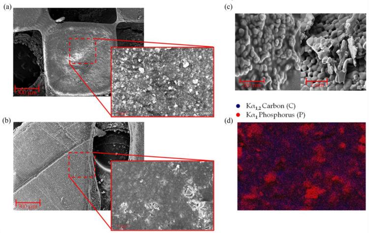 https://cdn.ncbi.nlm.nih.gov/pmc/blobs/4942/10893283/8f3135f2494c/polymers-16-00472-g003.jpg