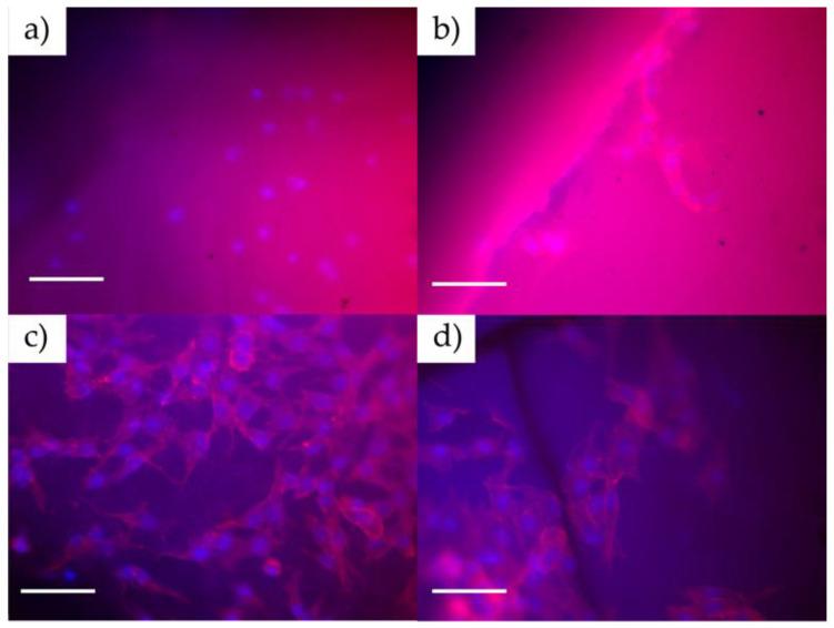 https://cdn.ncbi.nlm.nih.gov/pmc/blobs/4942/10893283/e07bf52c37b9/polymers-16-00472-g006.jpg