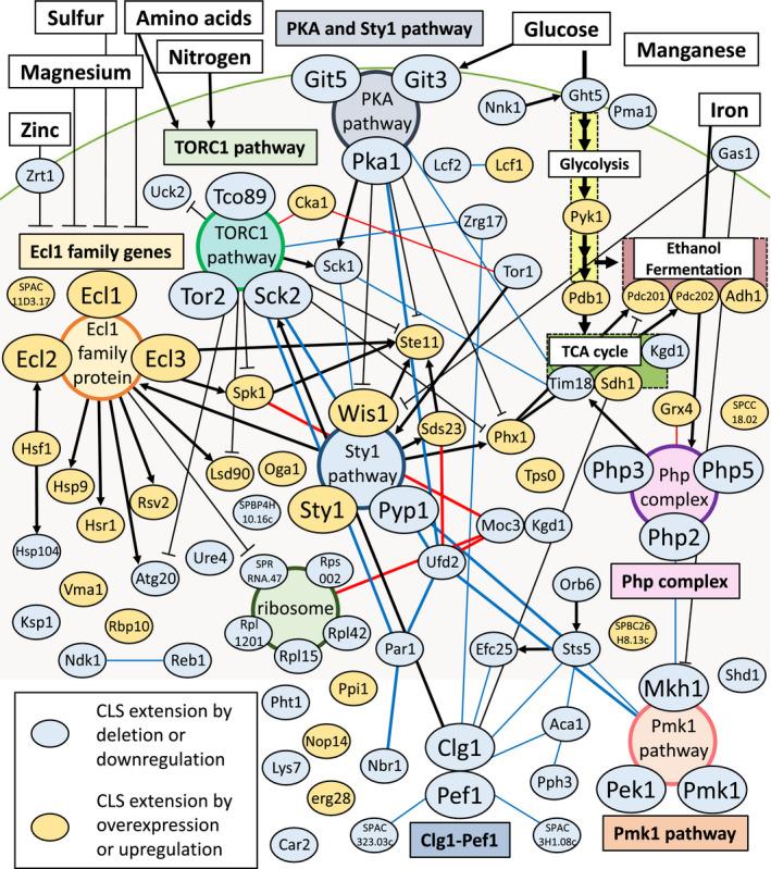 https://cdn.ncbi.nlm.nih.gov/pmc/blobs/4942/9290682/a0ed8382c6ce/GTC-26-459-g003.jpg