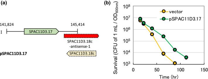 https://cdn.ncbi.nlm.nih.gov/pmc/blobs/4942/9290682/daa9a18ca275/GTC-26-459-g001.jpg